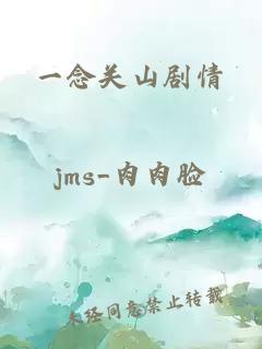 一念关山剧情