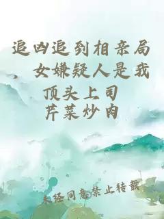 追凶追到相亲局，女嫌疑人是我顶头上司