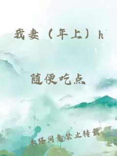 我妻（年上）h