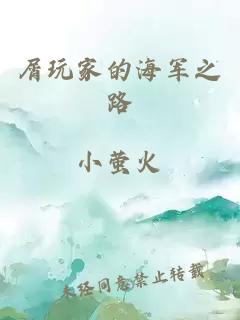 屑玩家的海军之路