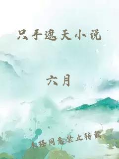 只手遮天小说